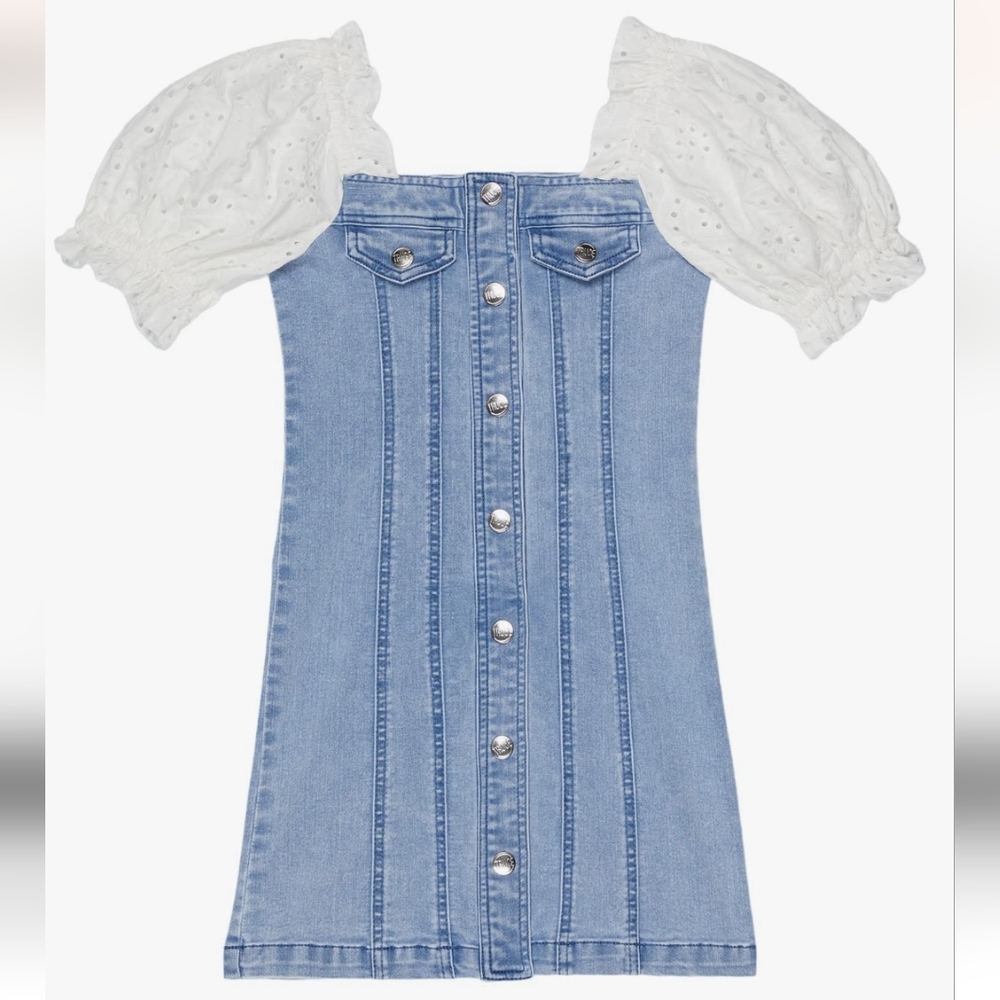 TRUCE denim & eyelet puff sleeve dress
